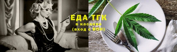 соль ск Новозыбков