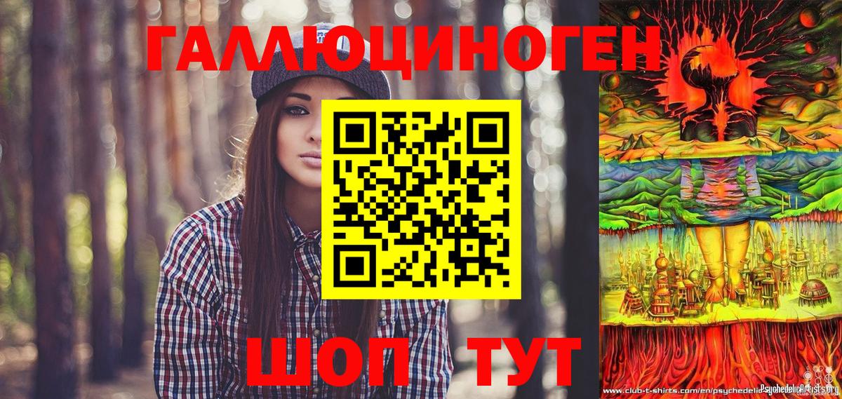 Псилоцибиновые грибы Psilocybine cubensis Тосно