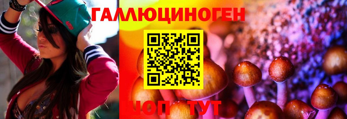Тосно  Галлюциногенные грибы Psilocybe  закладки  Вход с VPN 