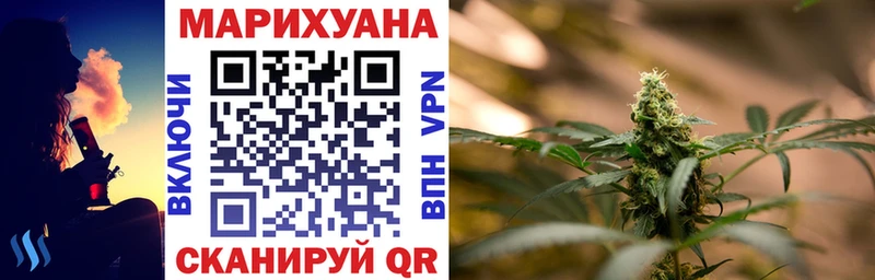 Шишки марихуана сатива  как найти наркотики  Тосно 